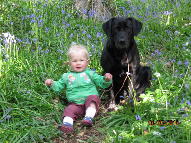 read all of 'Summer Stories'