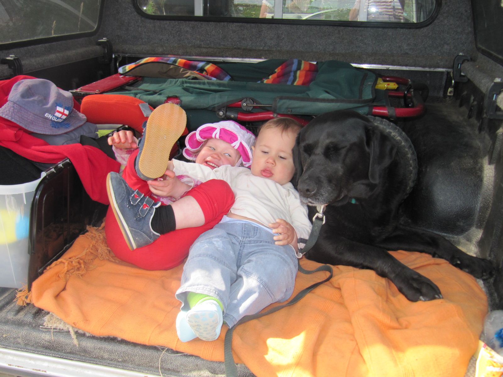 read all of 'Spring and Summer 2011'